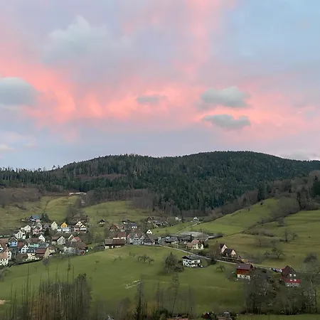 Duplex Le Hetre Avec Vue Degagee Sur Le Village Et Les Montagnes * Breitenbach-Haut-Rhin