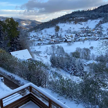 Διαμέρισμα Duplex Le Hetre Avec Vue Degagee Sur Le Village Et Les Montagnes
