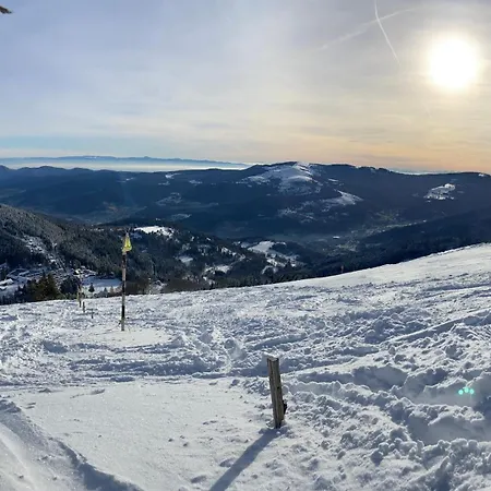 Duplex Le Hetre Avec Vue Degagee Sur Le Village Et Les Montagnes Apartament Breitenbach-Haut-Rhin