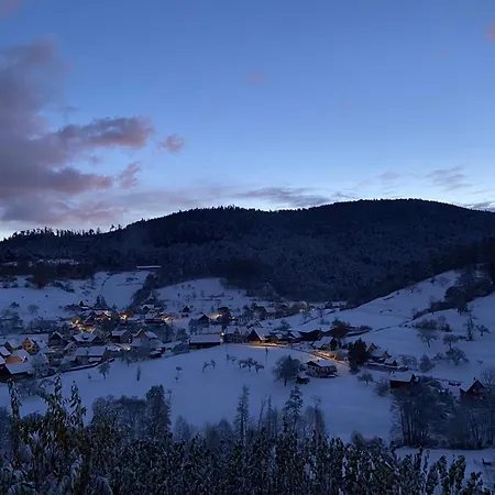 Duplex Le Hetre Avec Vue Degagee Sur Le Village Et Les Montagnes *